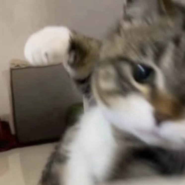 lola ♡ ARIRANG tweet media