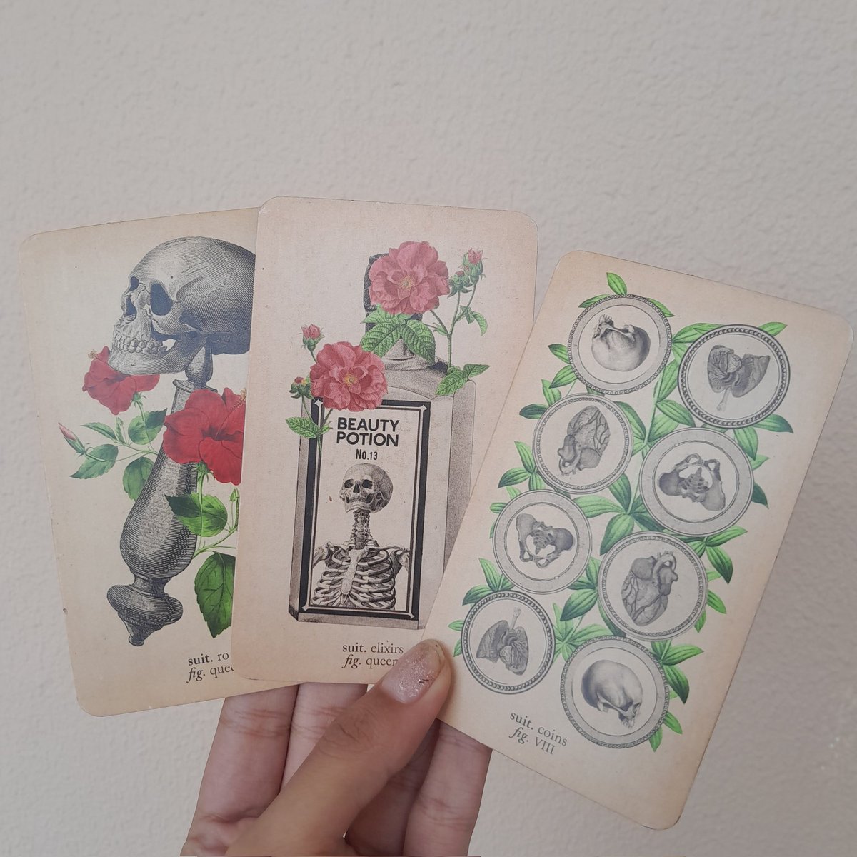 marge do tarô ☆ | MESA ABERTA tweet media