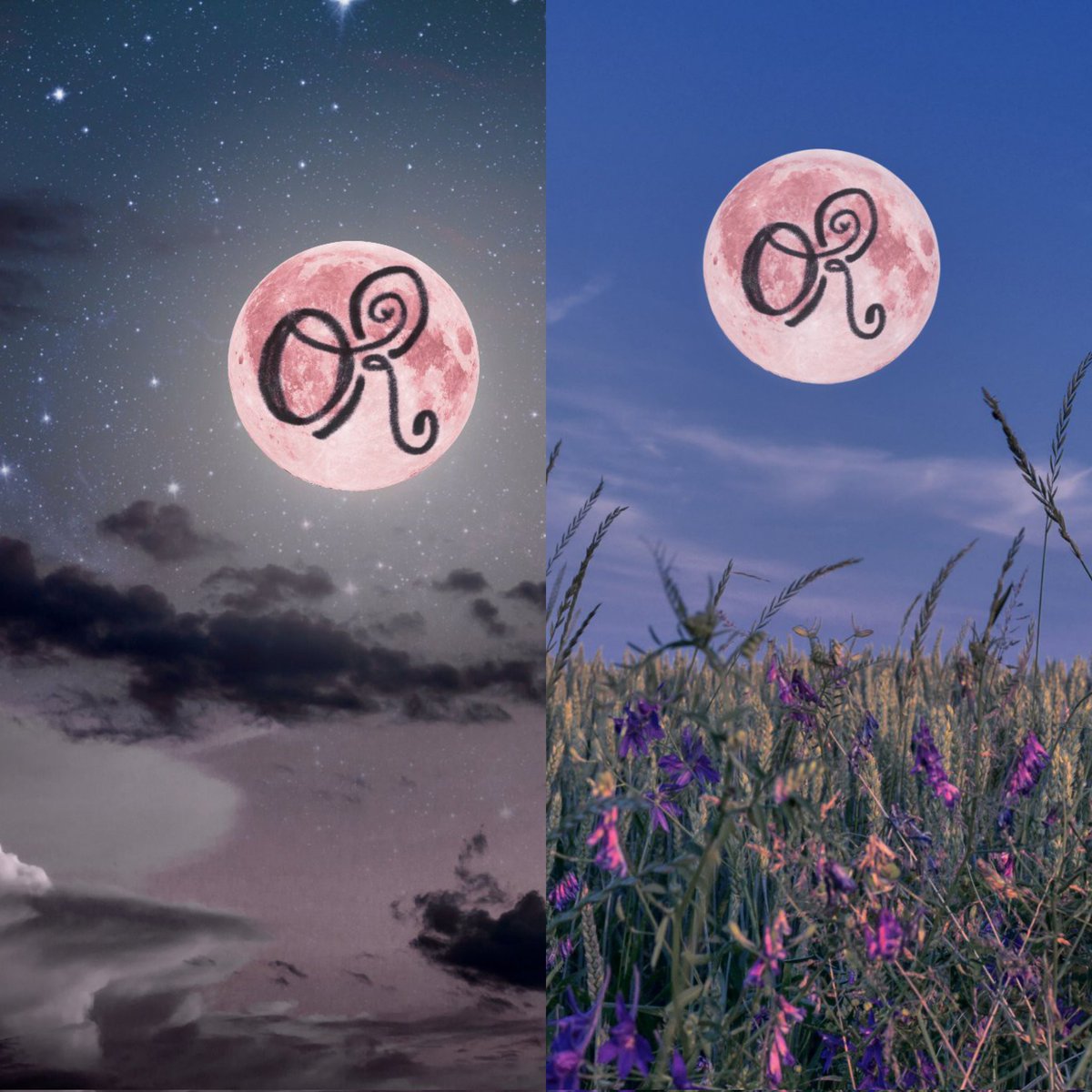 Olivia Rodrigo stats 🩷 tweet media