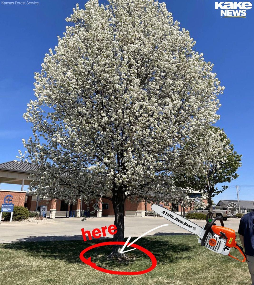 🇺🇸 Grumpy Dool 🇺🇸 tweet media