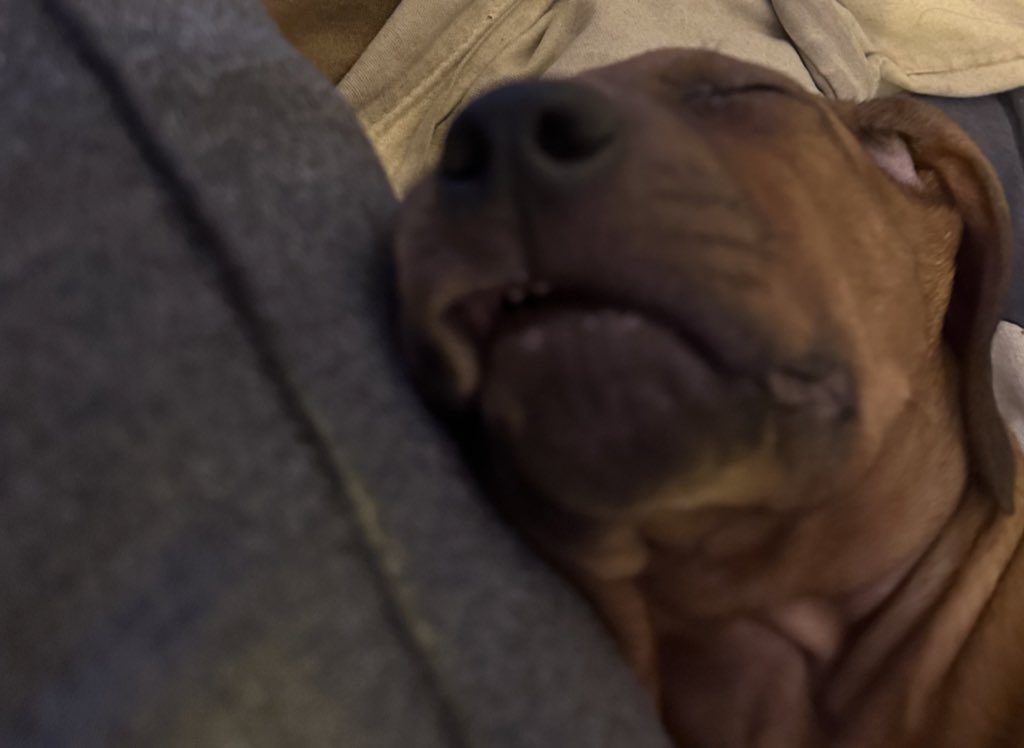 s🇧🇧🇮🇴 tweet media