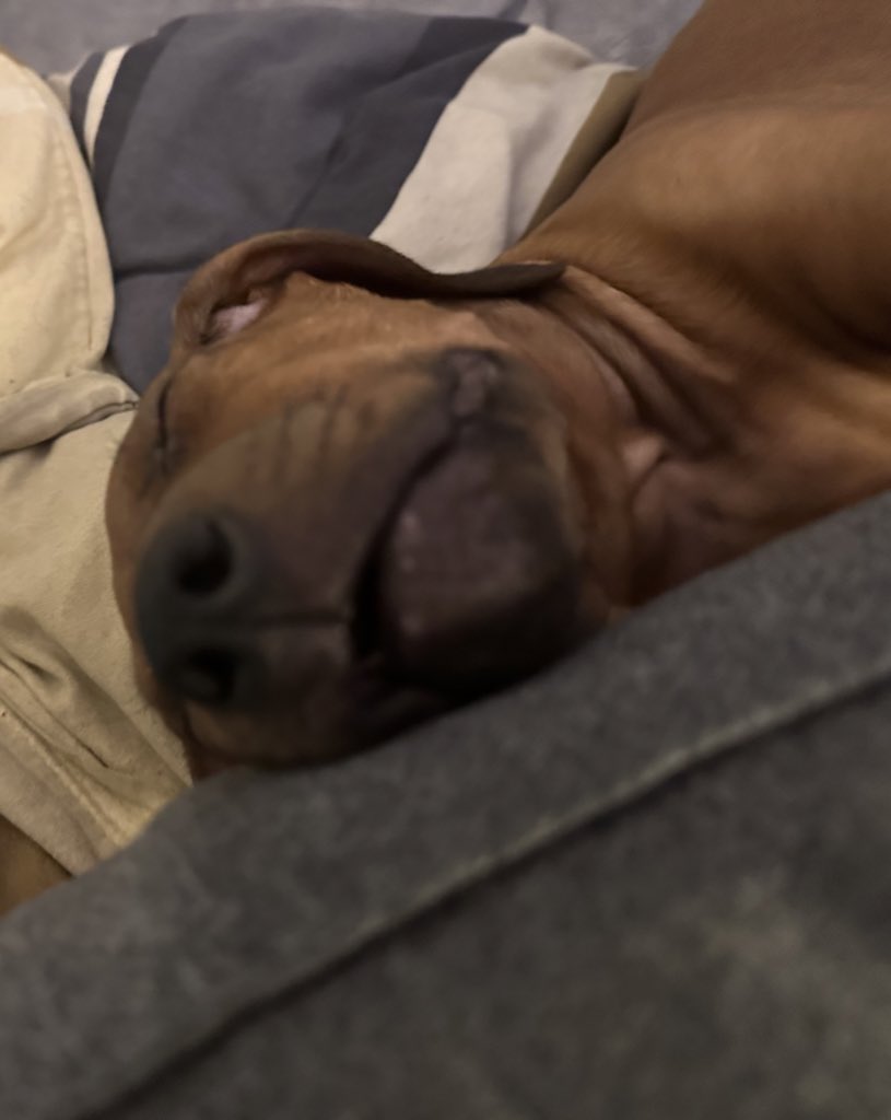 s🇧🇧🇮🇴 tweet media