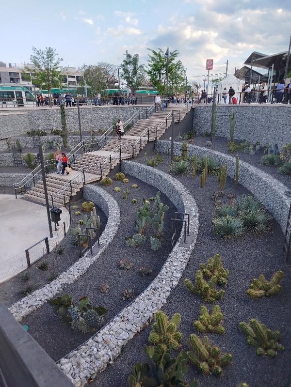 change the rules tweet media