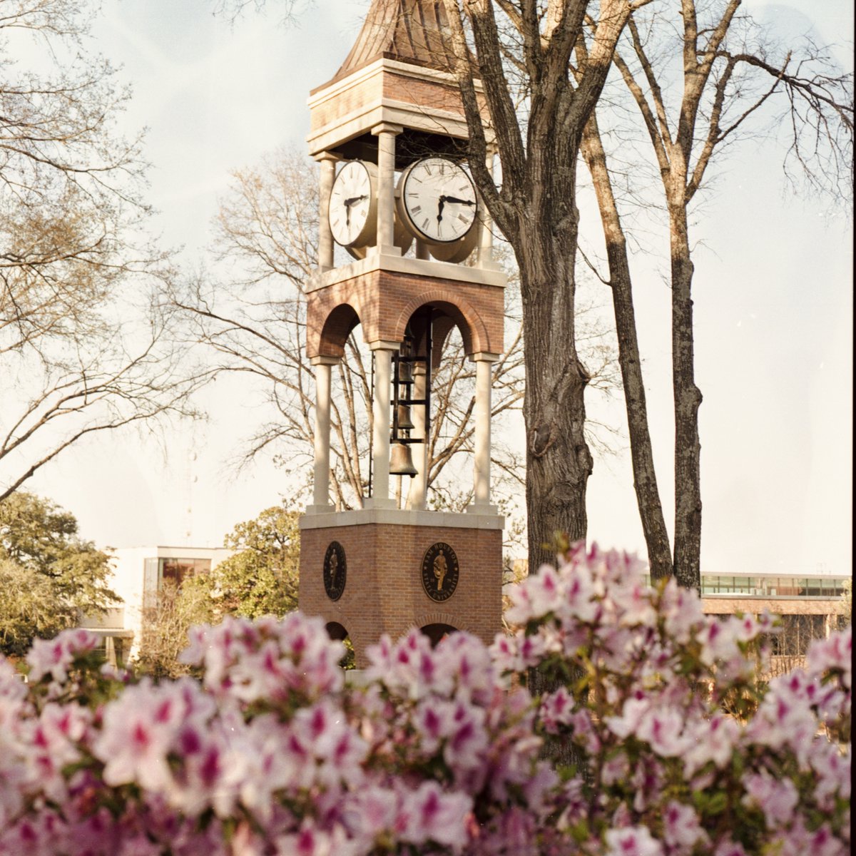 Sam Houston State tweet media