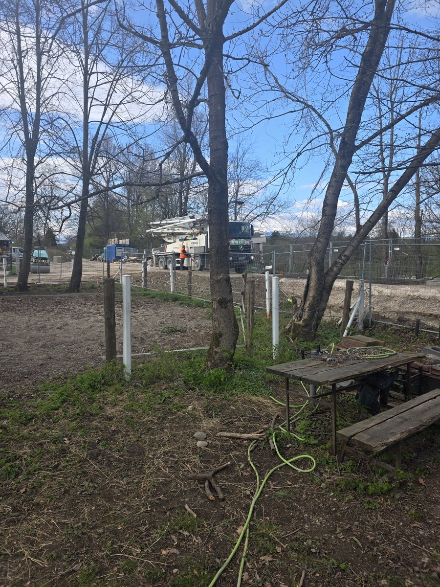 Primc Ales tweet media