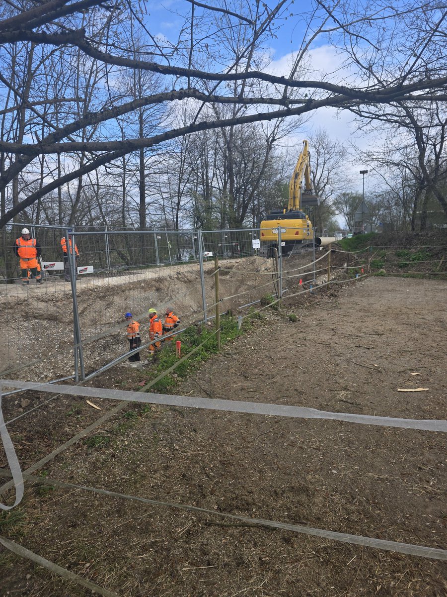 Primc Ales tweet media