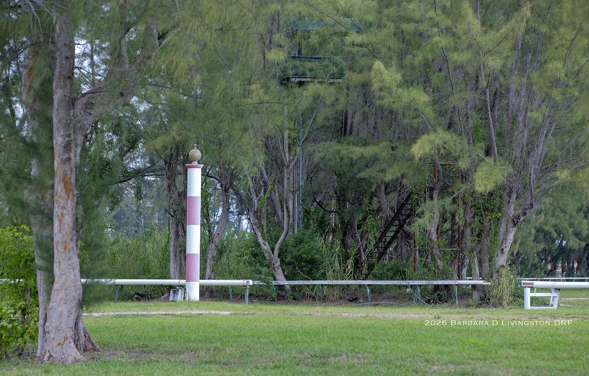 Barbara D. Livingston tweet media