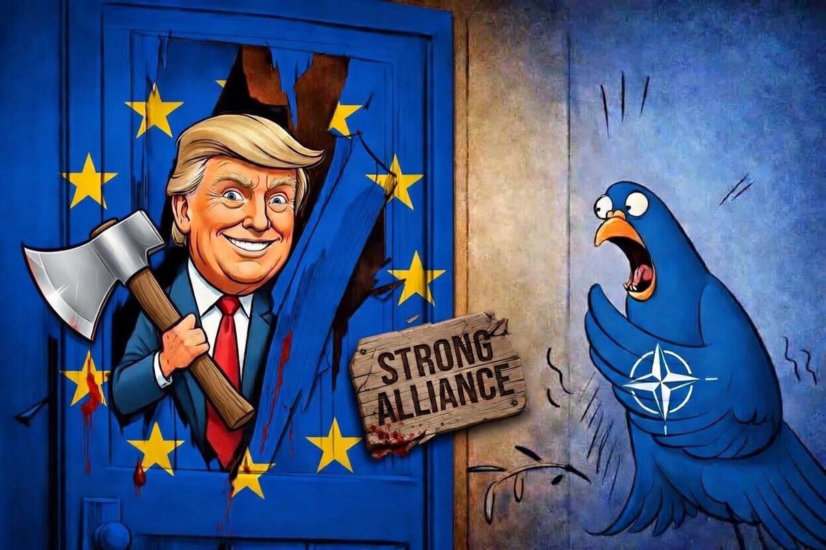 Martin kipp tweet media