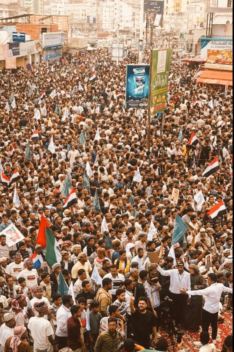 Mohammed Alamer محمد العامر tweet media