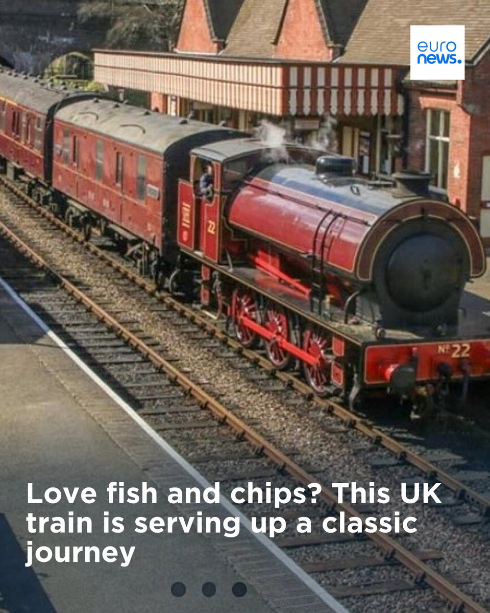 euronews tweet media