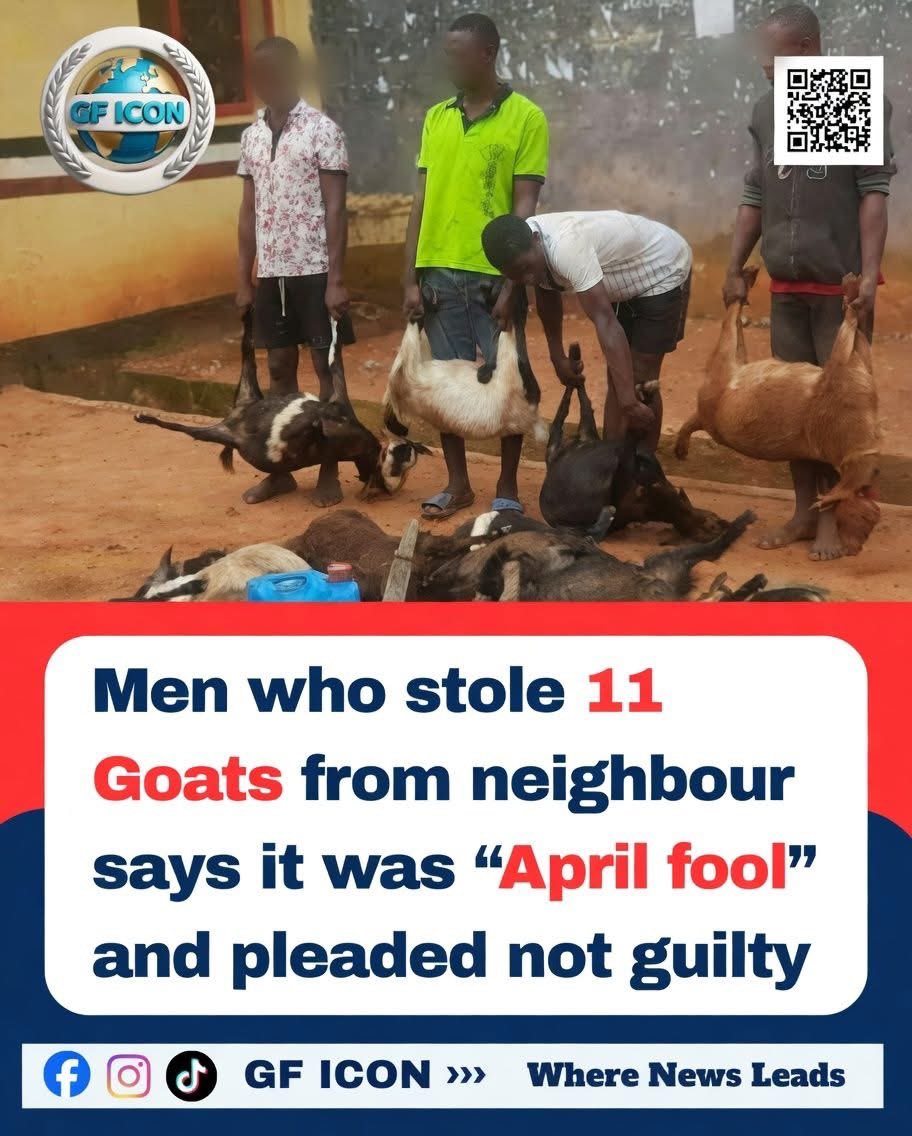 Elorm 🥷🏿 tweet media