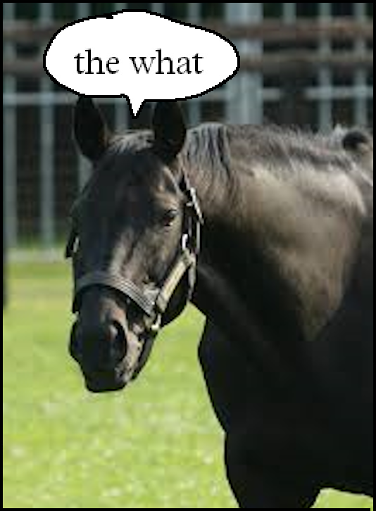 EmperorBoliKri's tweet photo. "Neigh . . . ?" https://t.co/KHNZo39EoX