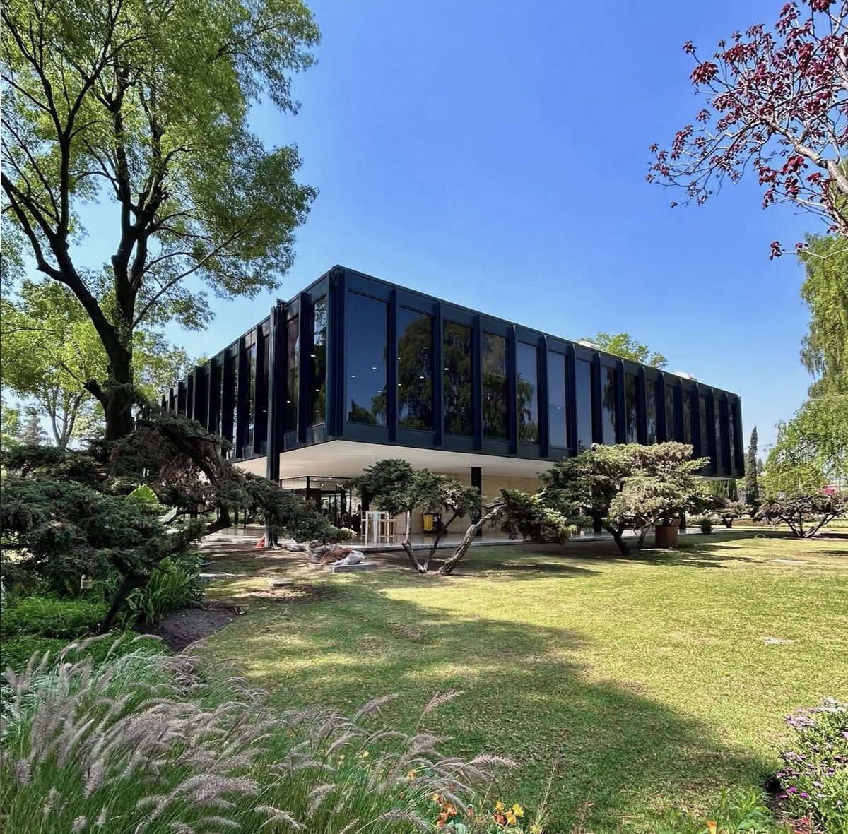 Héctor Velázquez tweet media