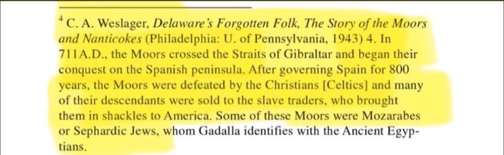 Musa of the TRIBE of Judah 🐯 tweet media