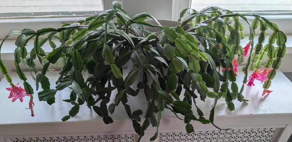 Jon Delano tweet media