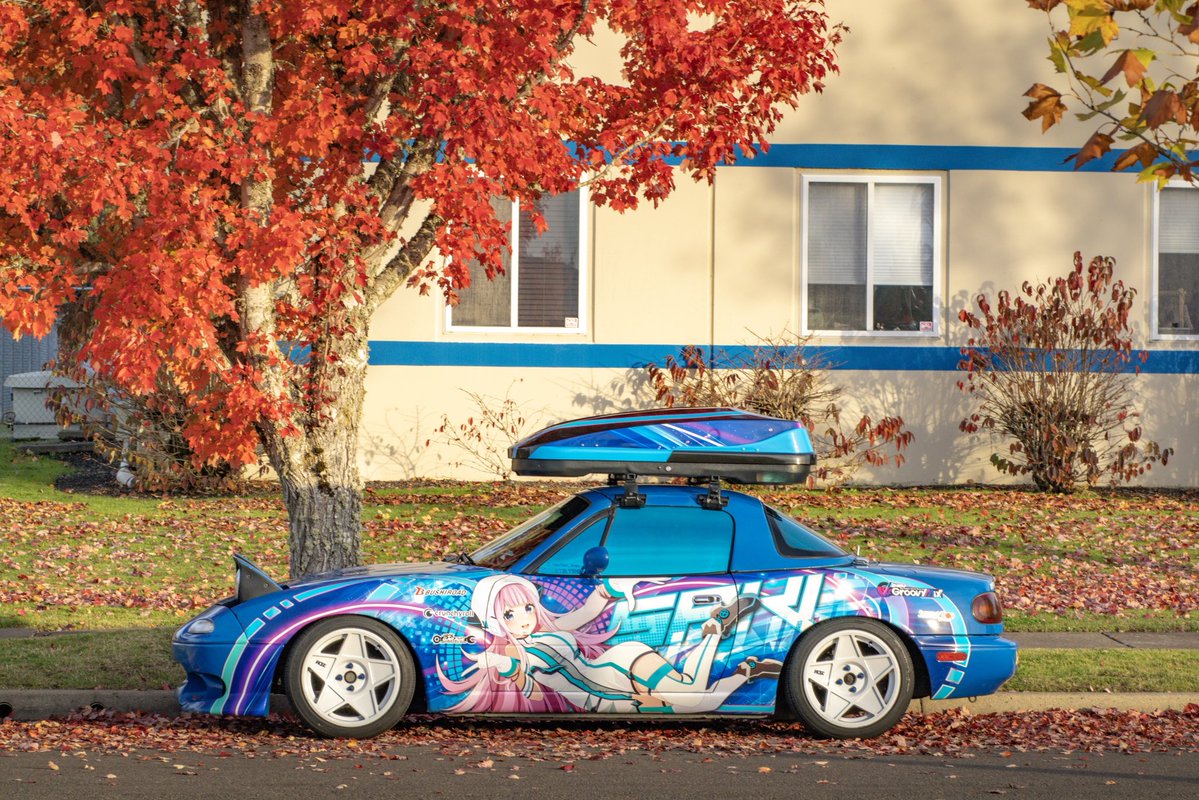 YoungTreeBark 🩸💤 tweet media