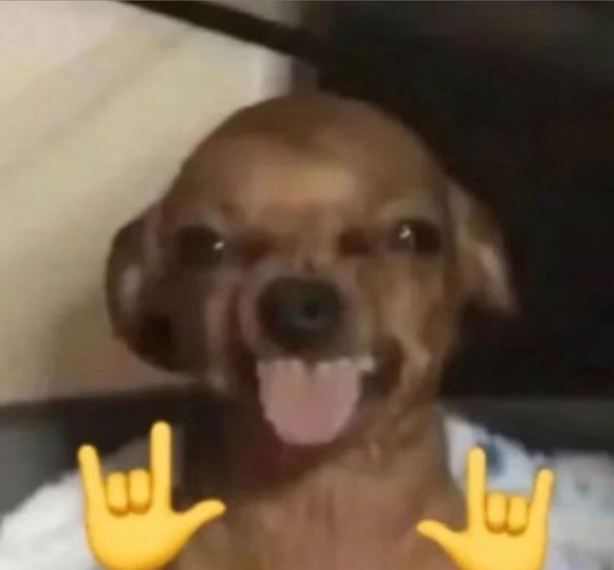 Sonny | Woodland Elf Druid Vtuber |🌲🌻 tweet media