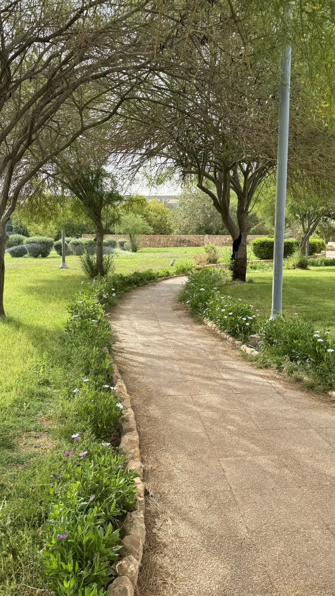 Farah Alharbi tweet media