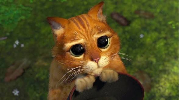 Bradley Osborn ✝️🎃 tweet media