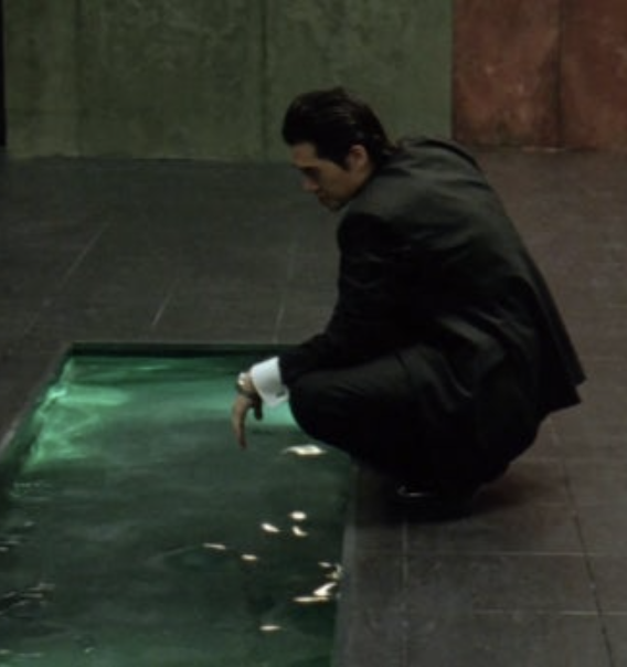 쇼폴💜⟭⟬⁷ ㉧㉣㉣ tweet media