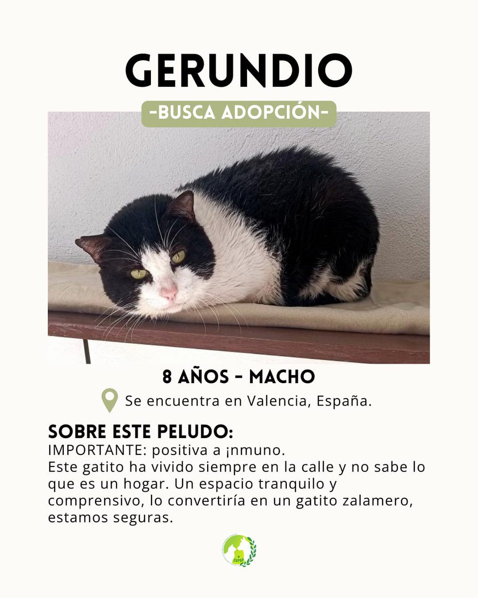 SOS Abuelos tweet media