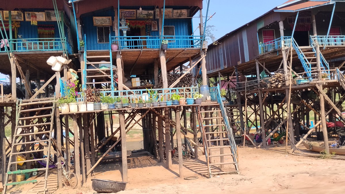 pyokotan tweet media