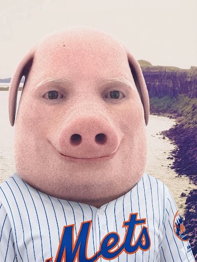 Pitchergami tweet media