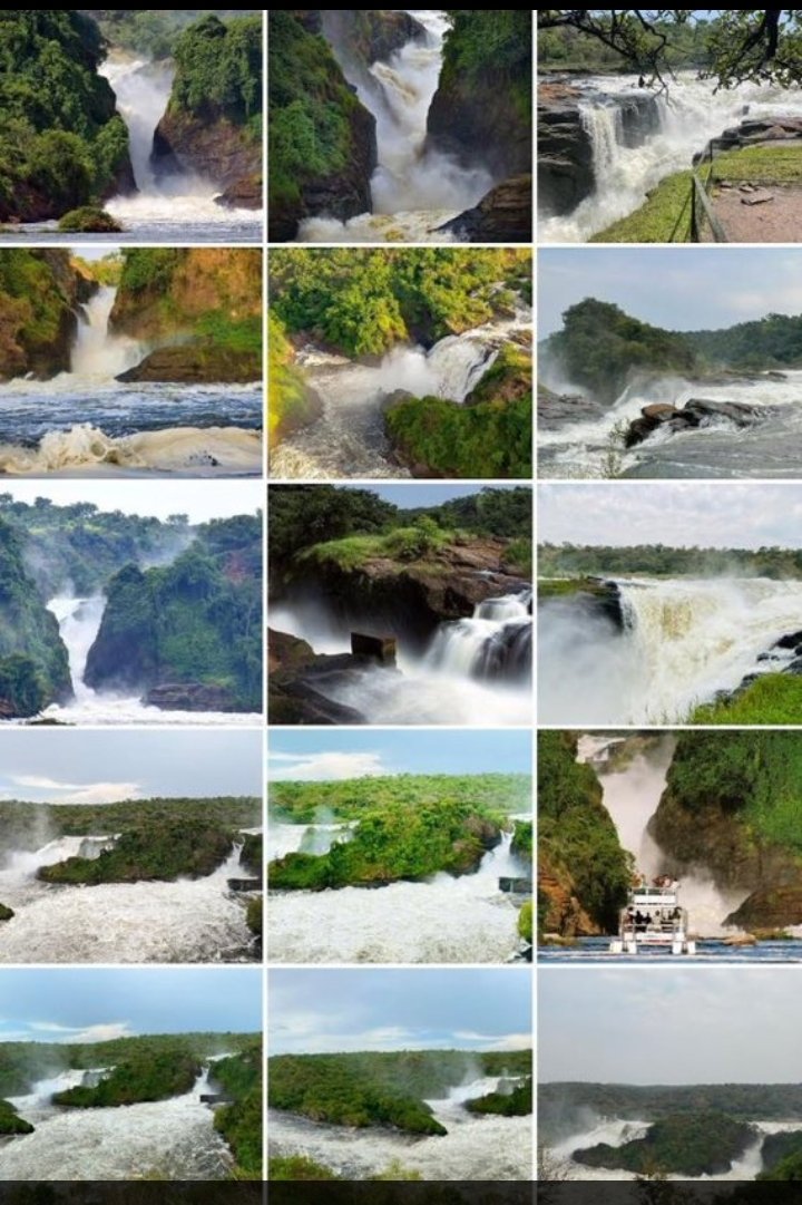 Murchison Falls is on another level, The power, the views, the vibes... it's like nature's own concert .
<a href="/ExploreUganda/">Explore Uganda 🇺🇬</a> 
<a href="/MoWT_Uganda/">Ministry of Works & Transport</a> 
#GoldenPosts