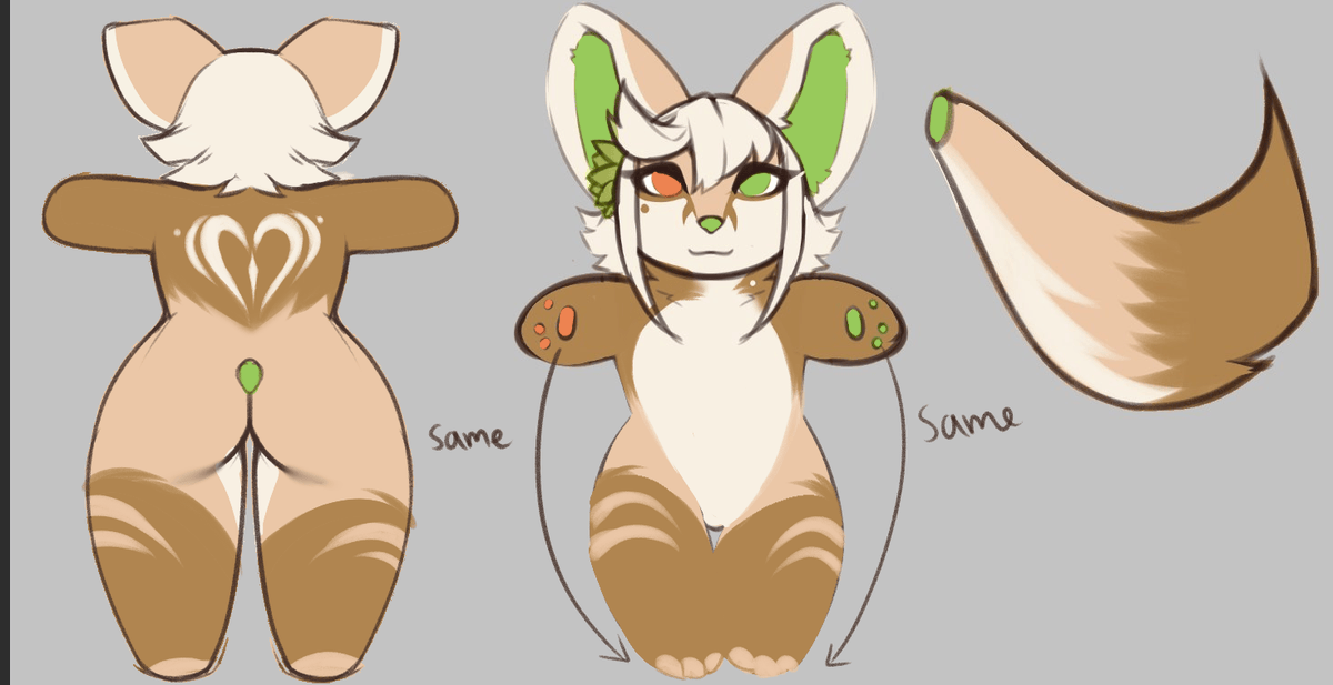 Vulpe 🔜 Your Walls! 🔞 tweet media