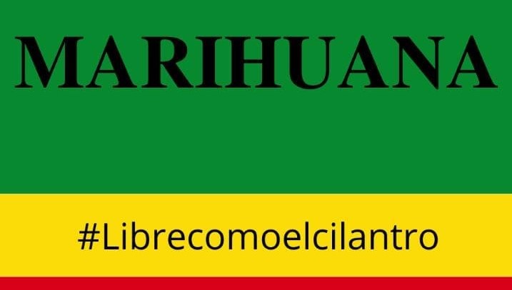 lasplantas's tweet photo. #libercomoelcilantro https://t.co/SIisMX6801