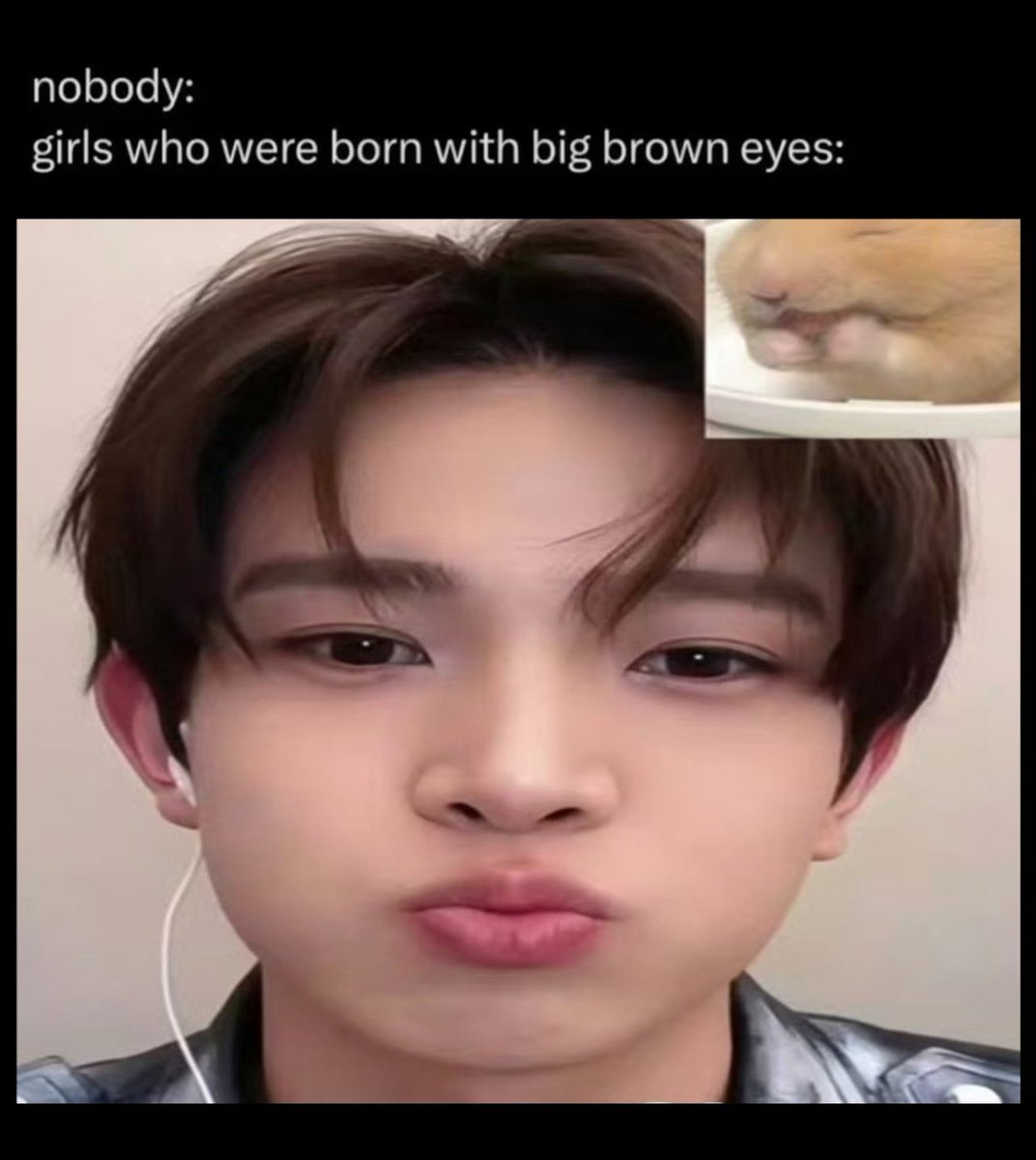 🪽ིིྀ tweet media