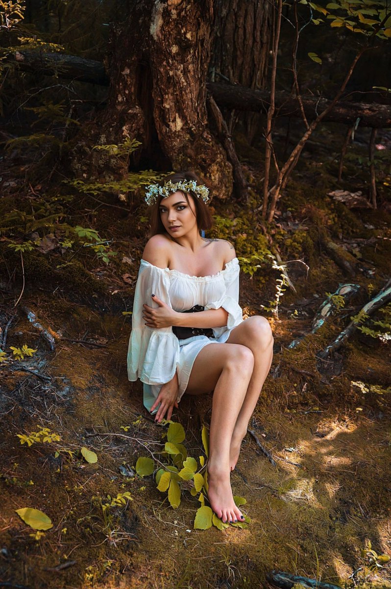 𑣲s o l f i ☕ tweet media