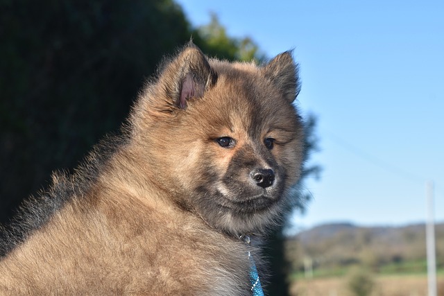 Jeff Azana tweet media