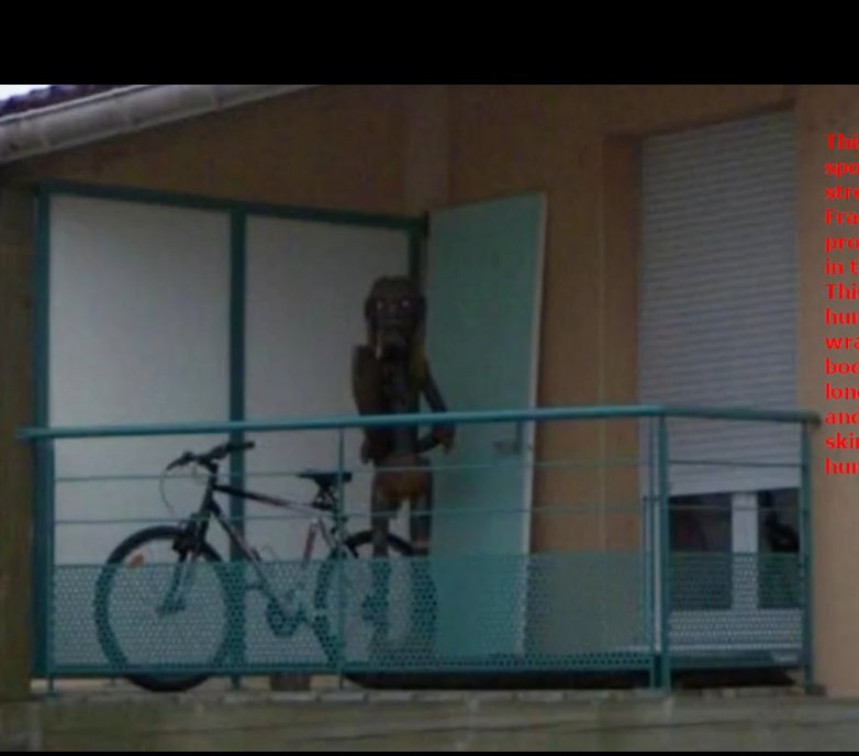 SwajaRasTing tweet media