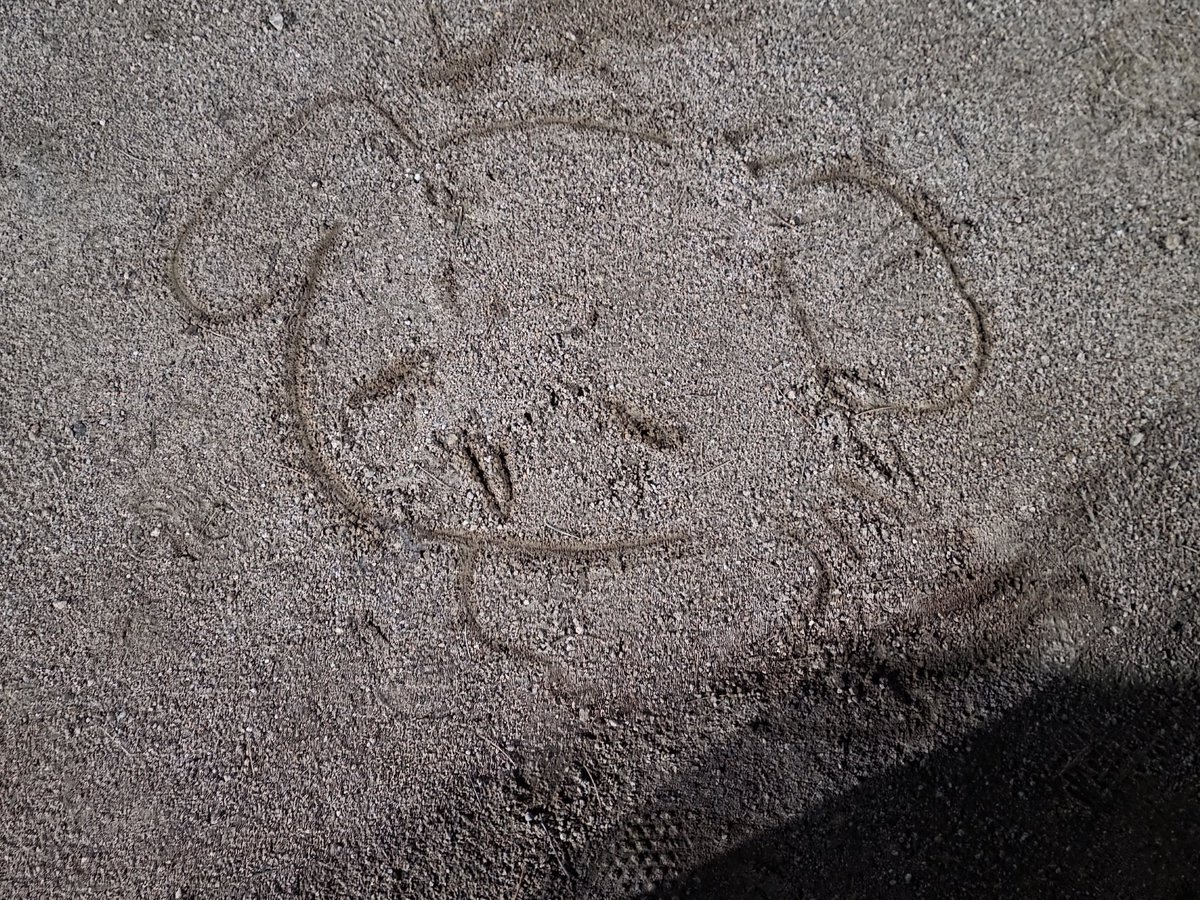 𝓐𝓲𝓶𝓮́ 멈머 tweet media