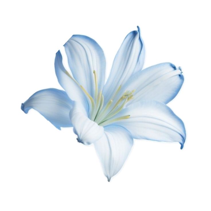 リヨ #edtwt tweet media