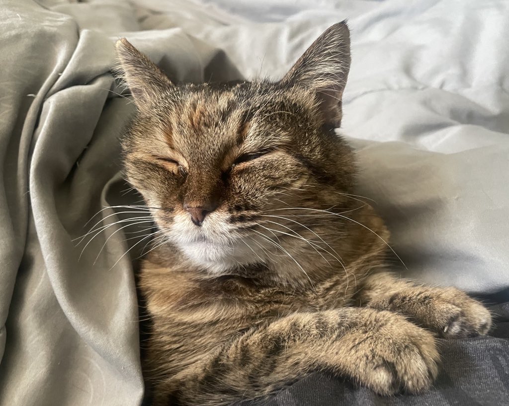 C⬡l⬡rad⬡ 🎣 tweet media