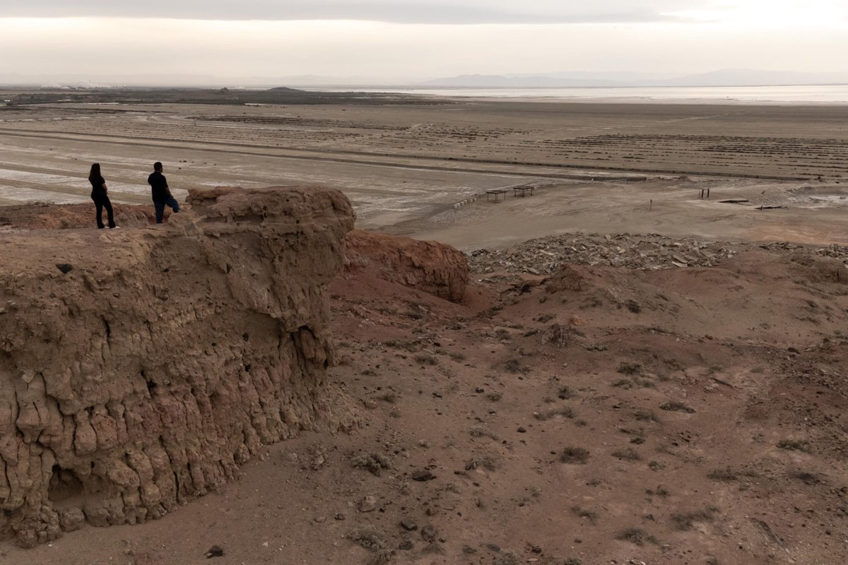 steve marble tweet media