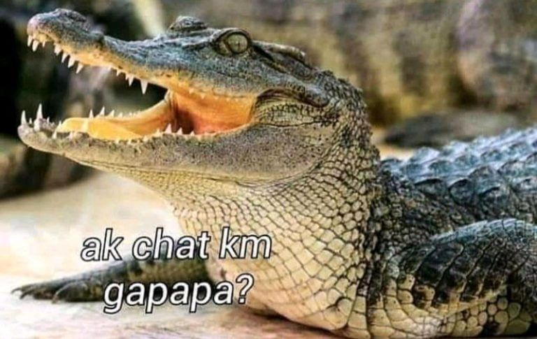 𝐃𝐀𝐌𝐈𝐀𝐍. tweet media