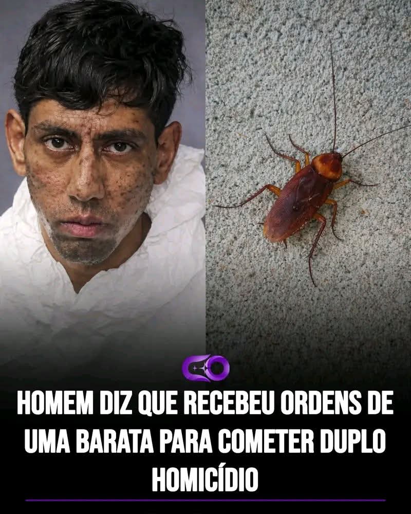 Senso Crítico ⚡ tweet media