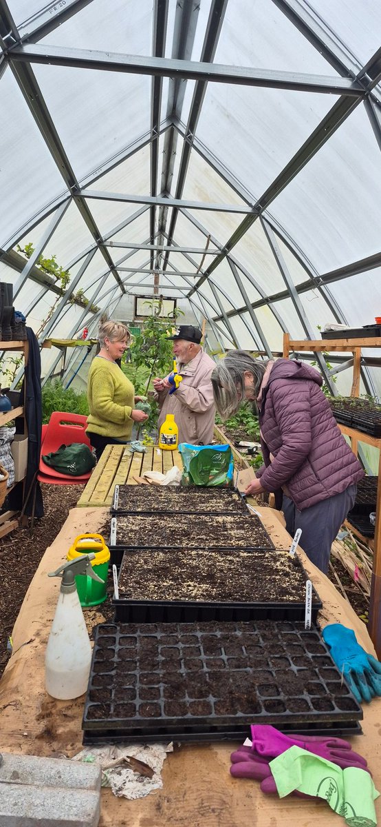 Togher Community Garden tweet media