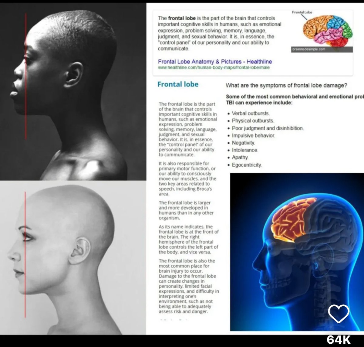 hdcarwash tweet media