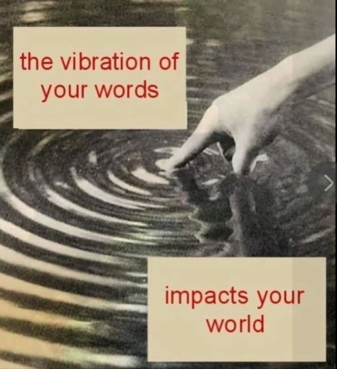 vegastar tweet media