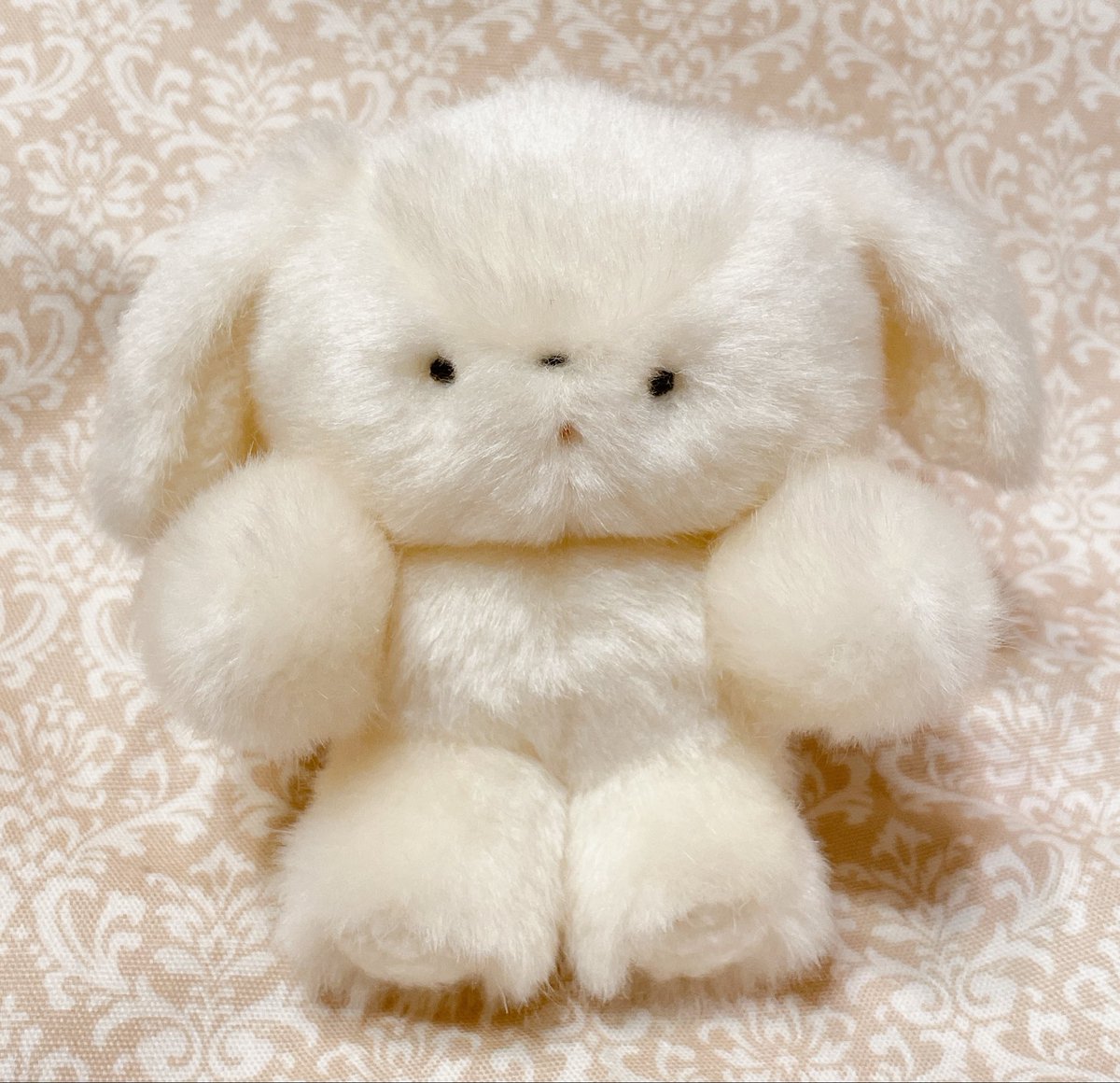 ふわたん tweet media