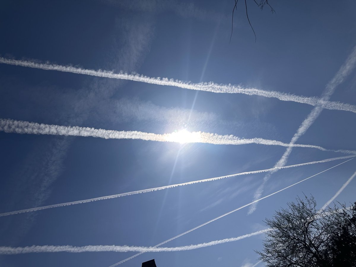 Hoosier Daddy tweet media