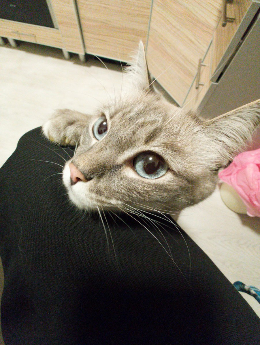 цетера виталий.......... tweet media