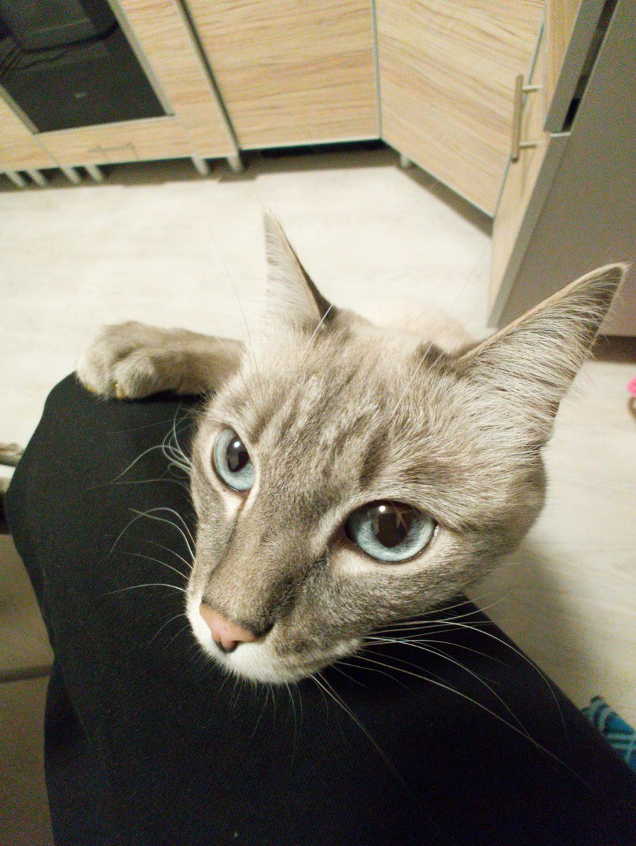 цетера виталий.......... tweet media