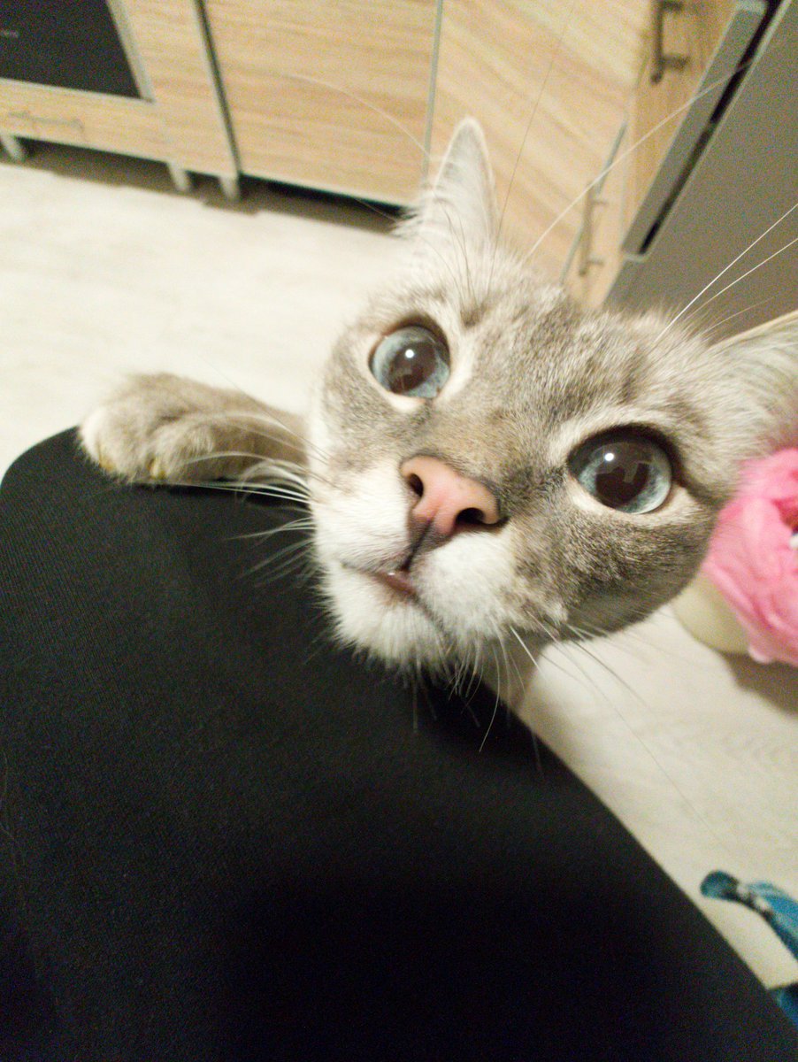 цетера виталий.......... tweet media