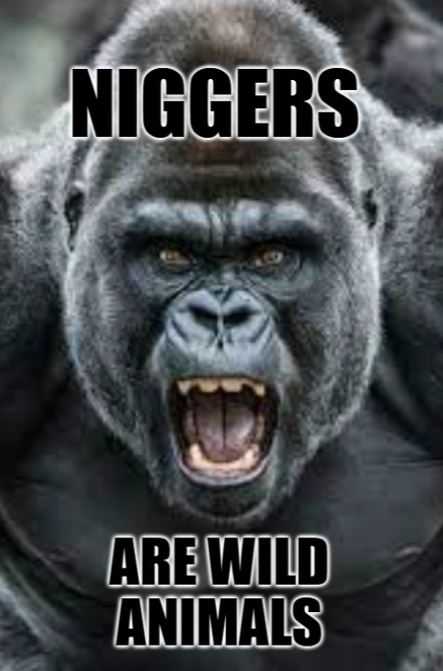 🦅🇺🇸 US Army Veteran 🇺🇸🦅 tweet media