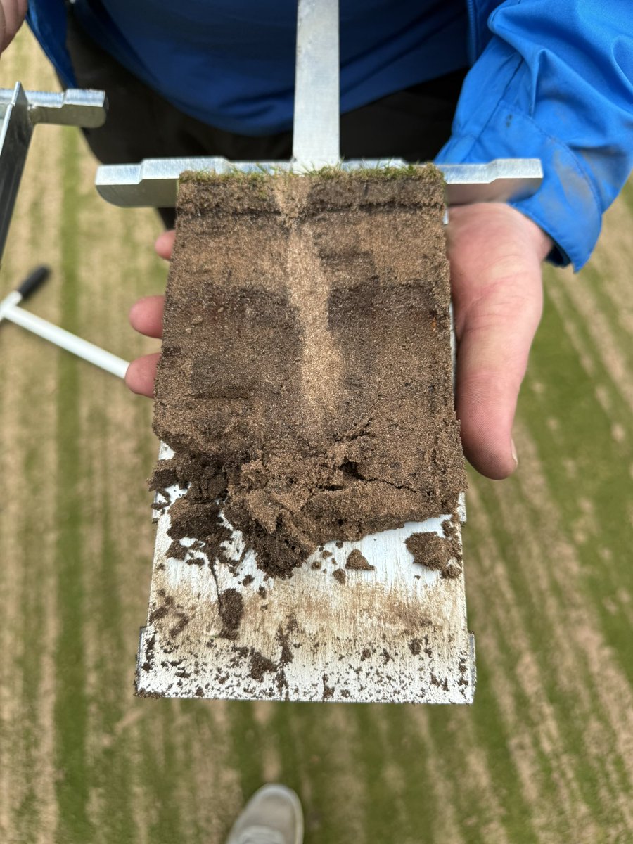 Simon Ashford tweet media